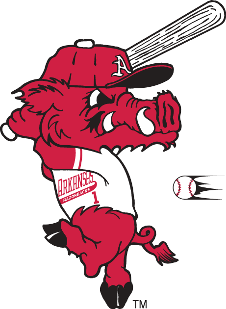 Arkansas Razorbacks 2001-Pres Mascot Logo diy fabric transfer